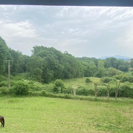 Appartement Dans Belle Maison Basque Mouguerre Kültér fotó