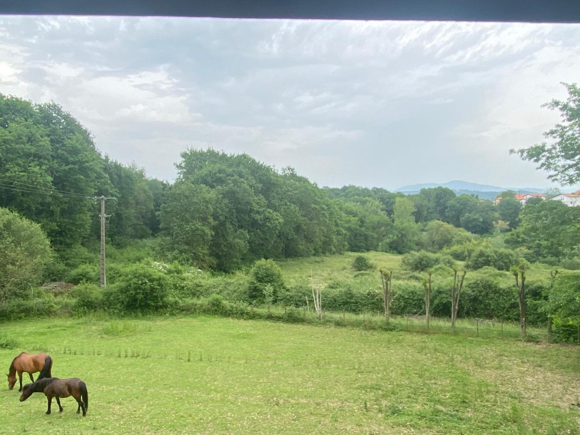 Appartement Dans Belle Maison Basque Mouguerre Kültér fotó